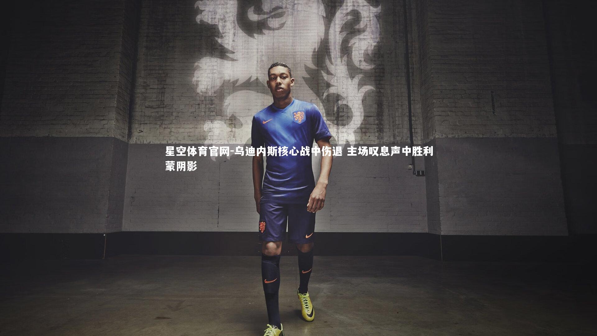 乌迪内斯核心战中伤退 主场叹息声中胜利蒙阴影
